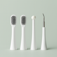 Ultrasonic Dental Scaler with Water Irrigation